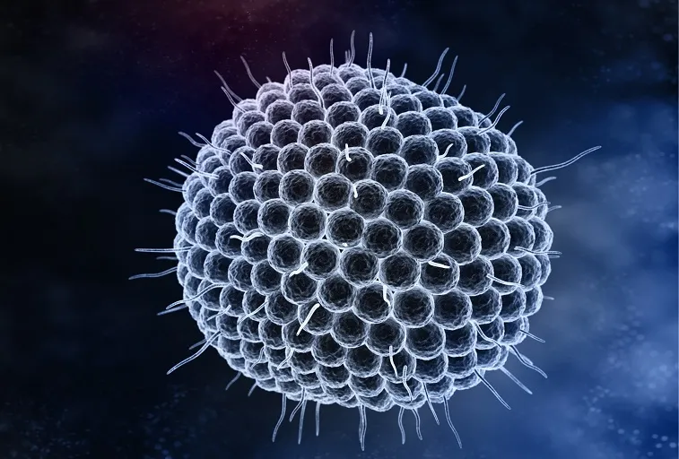 Expansion of Shingles Vaccination
