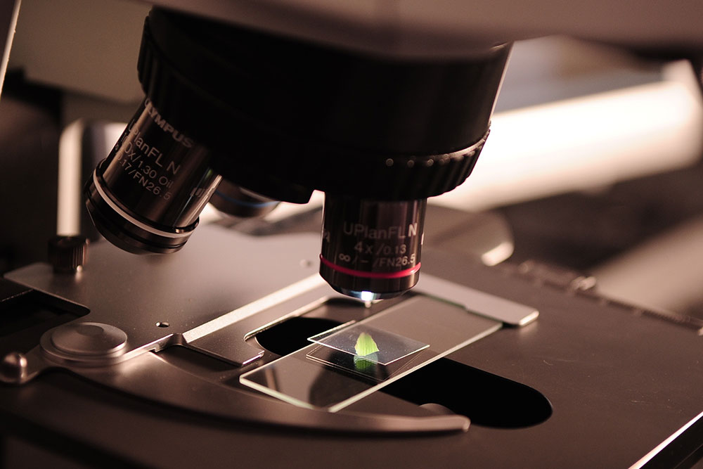 Extended cervical screening intervals for 24-49 year olds